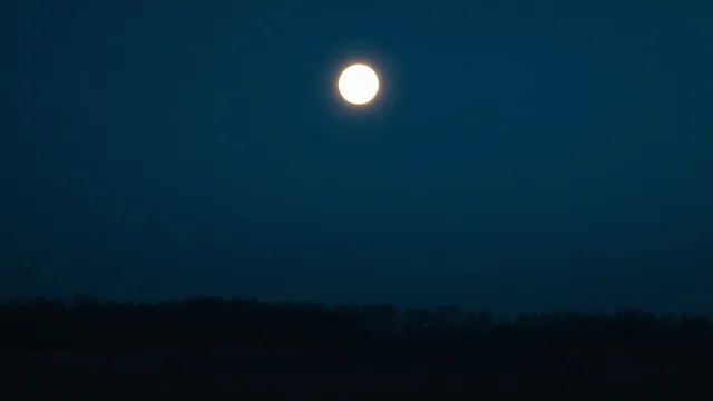The Pentagon's UFO Files Are Full of Orbs. Here's What We Actually Know About Them.
